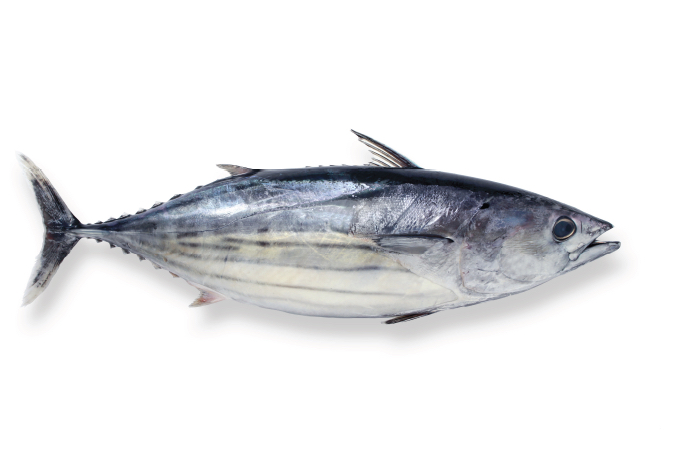 Sonbaharın smokinli yıldızı